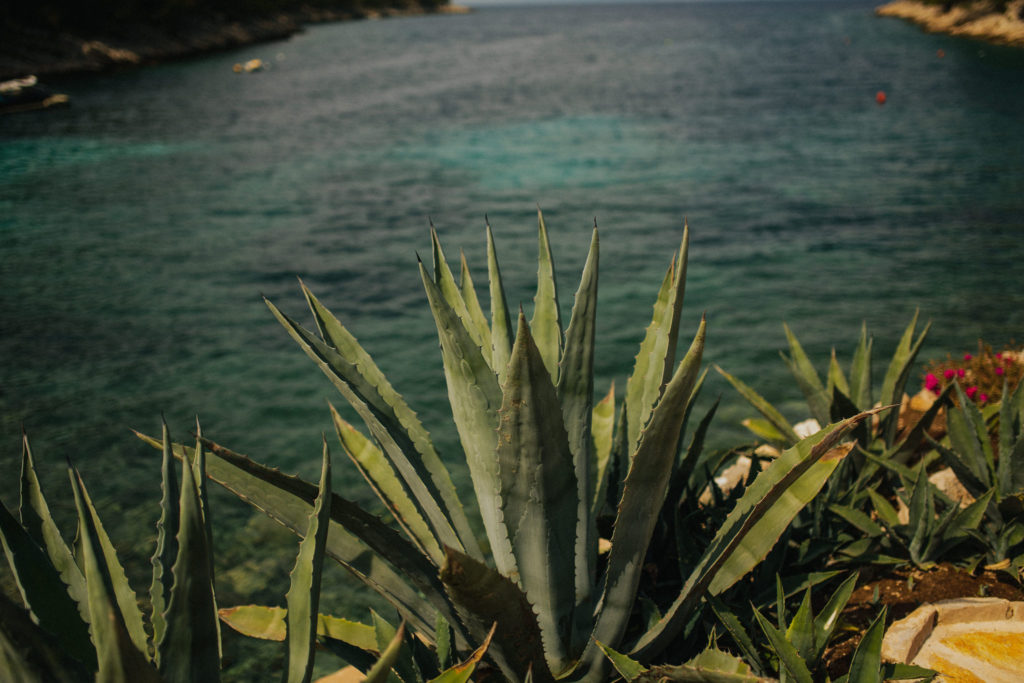Little Green Bay Wedding Venue Hvar