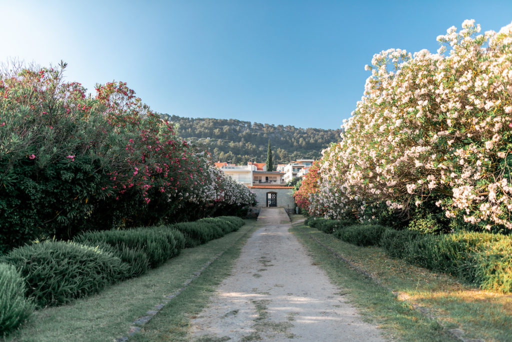 Little Green Bay Wedding Venue Hvar