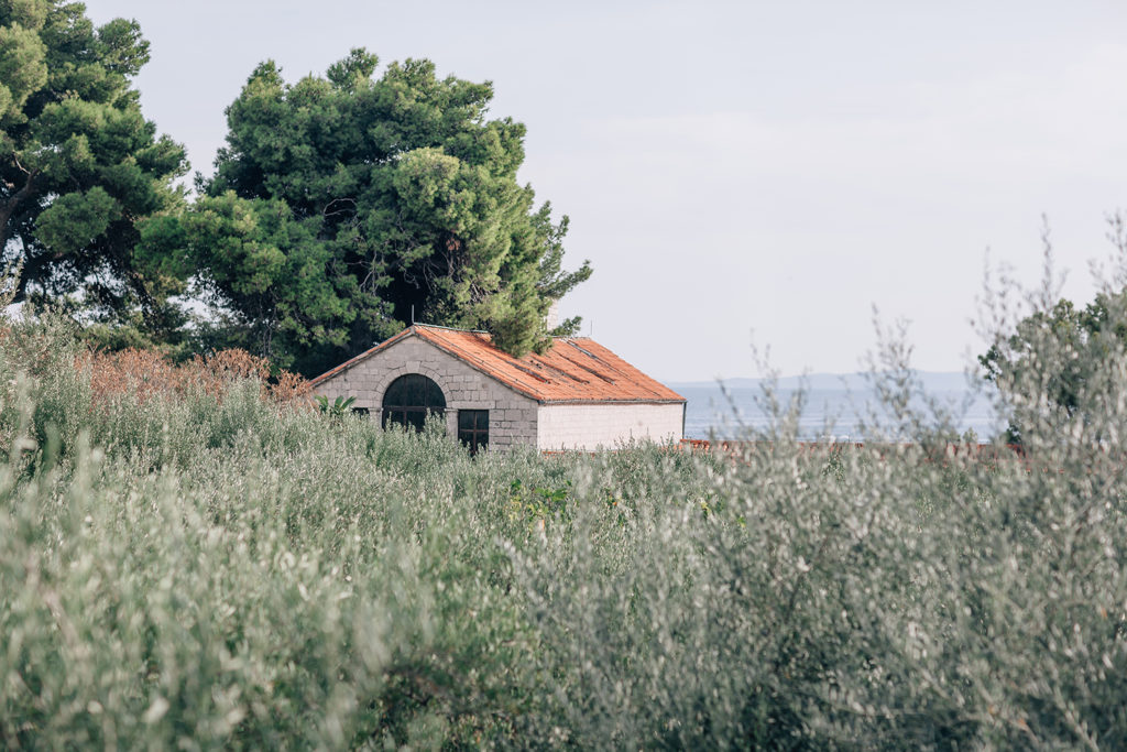 weddings in croatia split