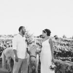elopement croatia wedding planner hvar