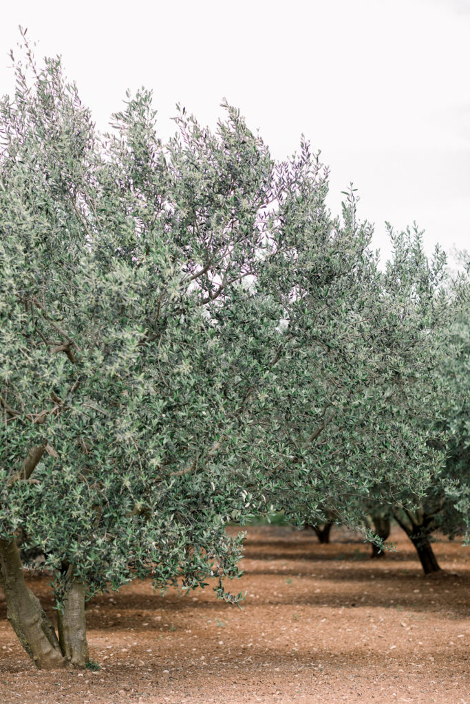 wedding planner in zadar croatia