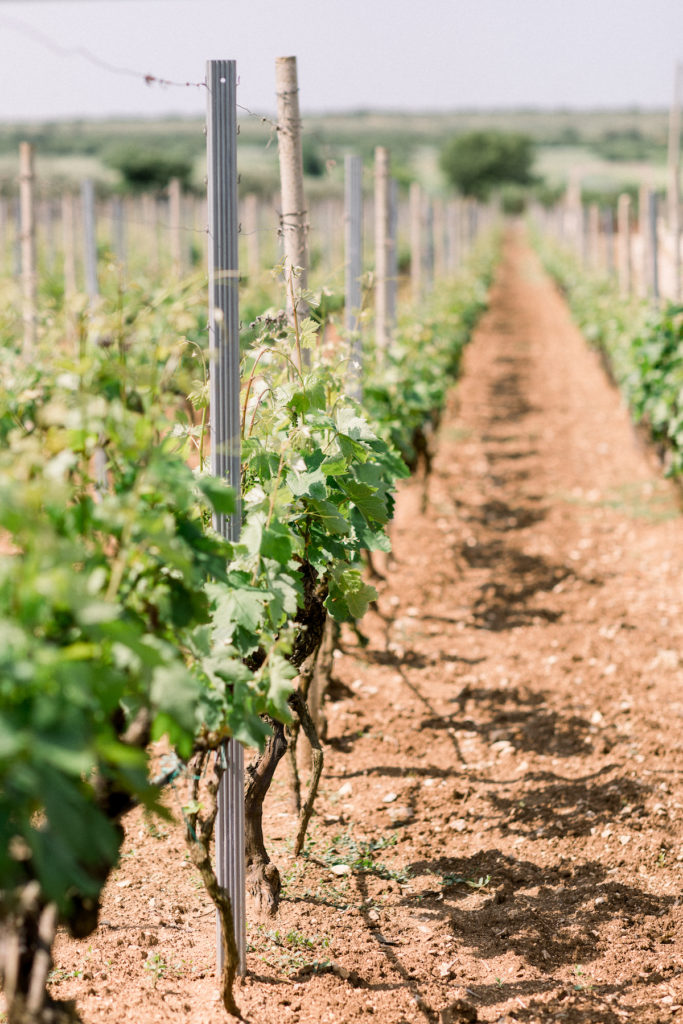 wedding planner in zadar croatia