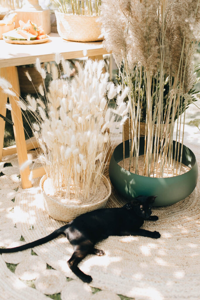 Event Planner Croatia