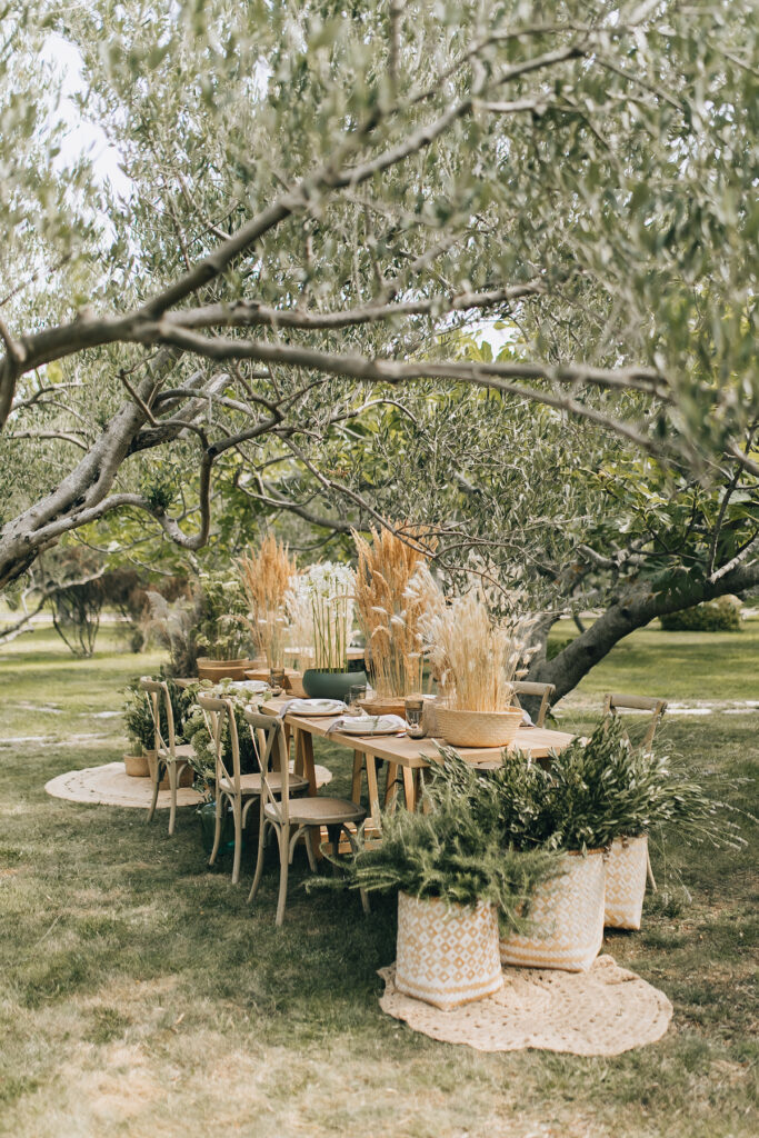 Olive Garden Breakfast in Croatia