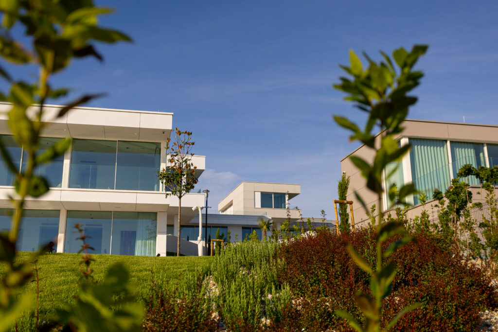 LIOQA Resort on Island Ugljan