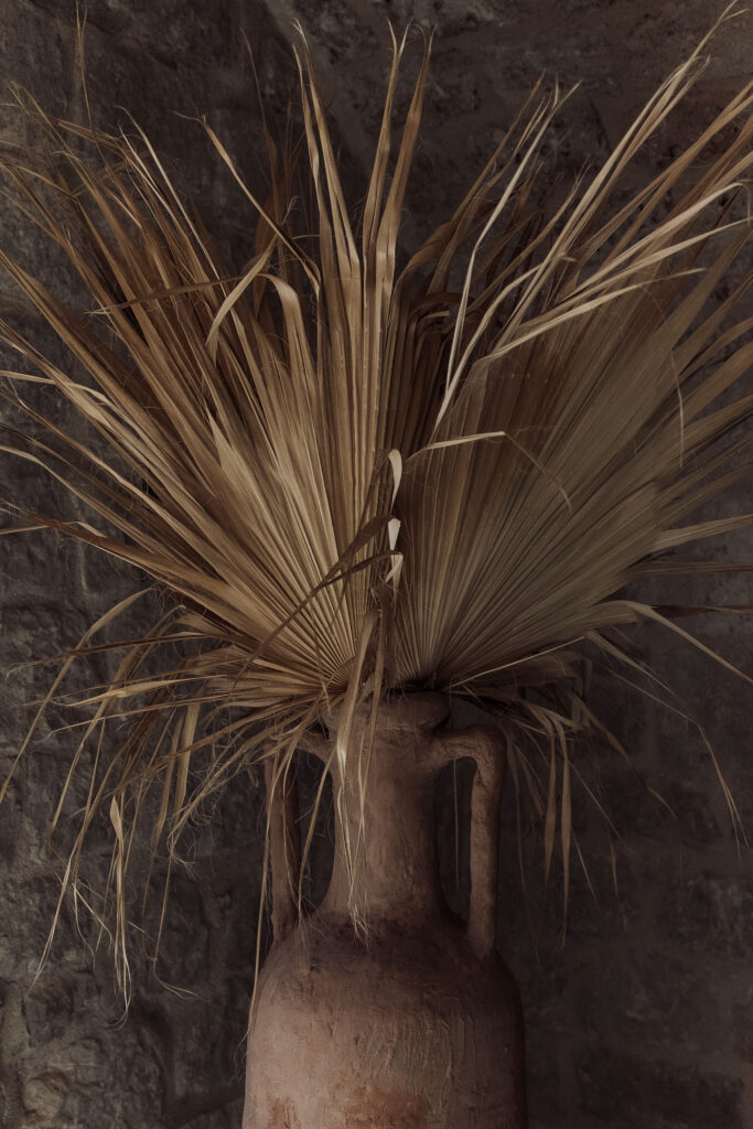 Mamula Island Crna Gora