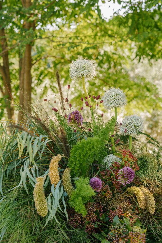 Wedding at San Canzian in Istria