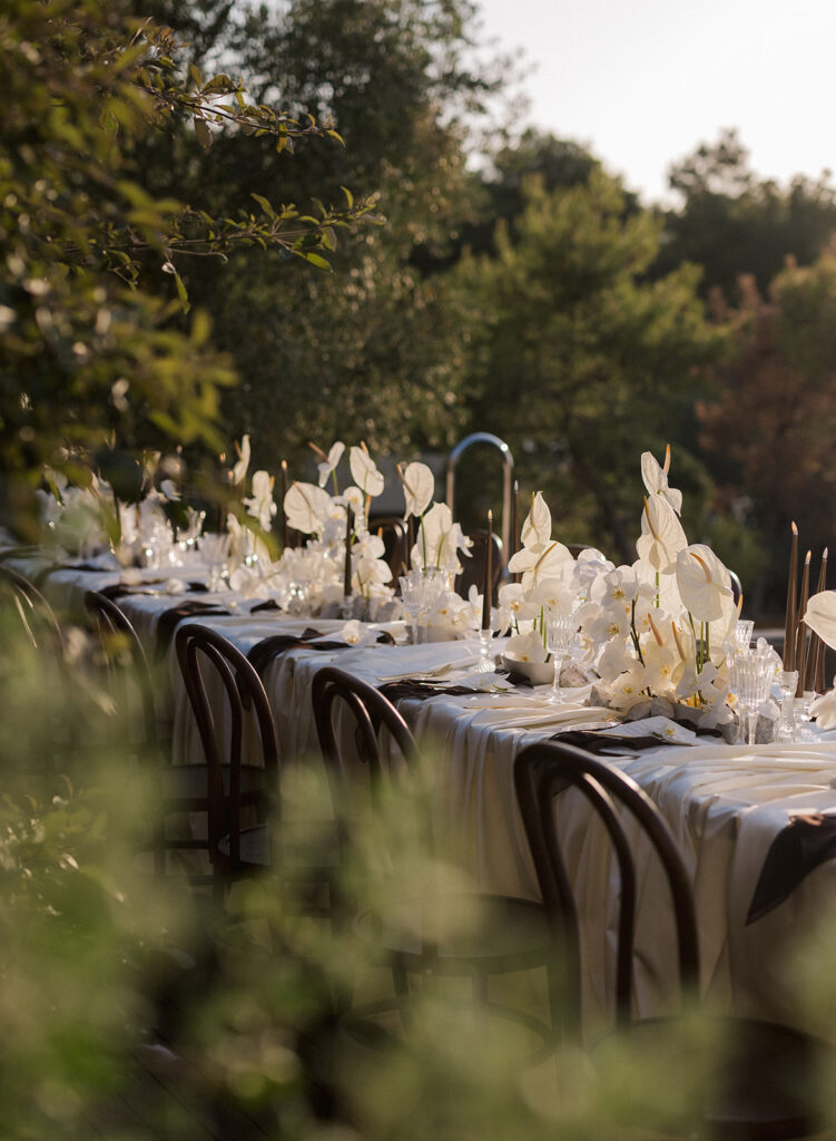 maslina-resort-wedding-dinner-reception