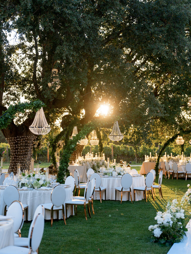 Elegant outdoor reception beneath centuries-old trees at Meneghetti