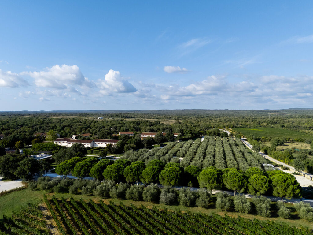 Aerial view of luxury wedding reception at Meneghetti Wine Hotel