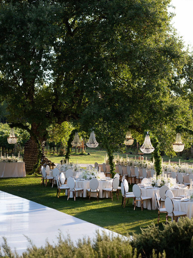 Elegant outdoor reception beneath centuries-old trees at Meneghetti